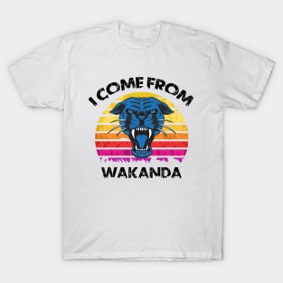 I come from wakanda T-Shirt